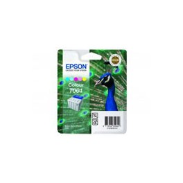 Epson Inktcartridge T00101110 kleur